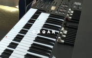 course-organ